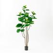 【直送】【人工観葉植物】アスカ/ウンベラータ(ポット付)/A-50936-051A ※返品代引不可