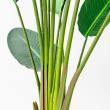 【直送】【人工観葉植物】アスカ/トラベルパーム(ポット付)/A-50950-051A ※返品代引不可