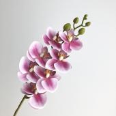 造花】アスカ/コチョウラン×7 つぼみ×6 #026 フッシャ/A-33962