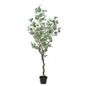 ⭐️ユーカリ 35cmくらい×15本⭐️ 特価◎【直送】【人工観葉植物】アスカ/ユーカリ(ポット付) #063G