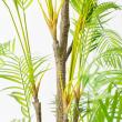 【直送】【人工観葉植物】アスカ/パーム(ポット付)/A-50969-51A ※返品キャンセル不可