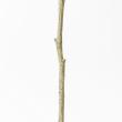 【直送】【人工観葉植物】アスカ/ユーカリ(ポット付)/A-50992-63G ※返品キャンセル不可