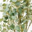【直送】【人工観葉植物】アスカ/ユーカリ(ポット付)/A-50992-63G ※返品キャンセル不可