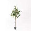 【直送】【人工観葉植物】アスカ/ユーカリ(ポット付)/A-50992-63G ※返品キャンセル不可