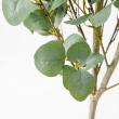 【直送】【人工観葉植物】アスカ/ユーカリ(ポット付)/A-50992-63G ※返品キャンセル不可