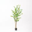 【直送】【人工観葉植物】アスカ/ドウダン(ポット付)/A-50994-51A ※返品キャンセル不可