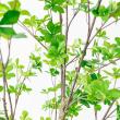 【直送】【人工観葉植物】アスカ/ドウダン(ポット付)/A-50994-51A ※返品キャンセル不可