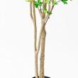 【直送】【人工観葉植物】アスカ/ドウダン(ポット付)/A-50994-51A ※返品キャンセル不可