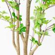 【直送】【人工観葉植物】アスカ/ドウダン(ポット付)/A-50994-51A ※返品キャンセル不可