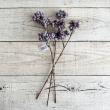 即日★【造花】アスカ/ベリーバンチ(1束3本) パープル/A-47933-7