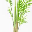 【直送】【人工観葉植物】アスカ/アレカパーム(ポット付) グリーン/A-51026-51A ※返品・代引・キャンセル不可