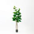 【直送】【人工観葉植物】アスカ/ウンベラータ(ポット付) グリーン/A-51028-51A ※返品・代引・キャンセル不可