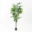 【直送】【人工観葉植物】アスカ/ファイカス(ポット付) #051A グリーン/A-51043-51A ※返品・代引・キャンセル不可