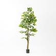 【直送】【人工観葉植物】アスカ/ファイカス(ポット付) #051A グリーン/A-51044-51A ※返品・代引・キャンセル不可