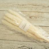 特価◎【ドライ】アスカ/ロングテールリード #011 クリ-ムホワイト/AN80045