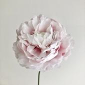 【造花】アスカ/ピオニーピック ホワイトビューティ/A-73398-22W