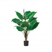 人工観葉植物】アスカ/アロカシア(ポット付) グリーン/A-51069-51A