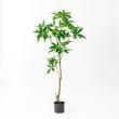 【直送】【人工観葉植物】アスカ/パキラ(ポット付) グリーン/A-51065-51A ※返品・代引・キャンセル不可