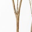 【直送】【人工観葉植物】アスカ/アセビ(ポット付) グリーン  ※返品・代引・キャンセル不可/A-51062-51A