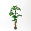 【直送】【人工観葉植物】アスカ/モンステラ(ポット付) グリーン  ※返品・代引・キャンセル不可/A-51066-51A