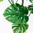 【直送】【人工観葉植物】アスカ/モンステラ(ポット付) グリーン  ※返品・代引・キャンセル不可/A-51066-51A