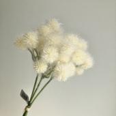 即日★【造花】アスカ/ポンポンバンチ(1束3本) #011 クリームホワイト/A-34637-11