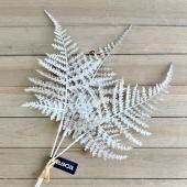 即日☆【造花】アスカ/アスパラガスリーフバンチ(ブラッシュ加工)(1束3