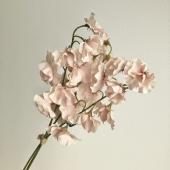 即日★【造花】アスカ/スイトピーバンチ×27(1束3本) アンテイークモーブ/A-34761-55A