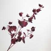 骨と花 ten to sen+hacu クロスフラワーspring | 点と線 模様製作所