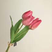 造花】アスカ/チューリップバンチ ホワイト/A-34716-1 - 花材通販は