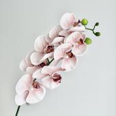 造花】アスカ/コチョウラン×8 つぼみ×4 ホワイトパープル/A-34707-17P
