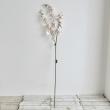 【造花】アスカ/オンシジューム×32 ホワイトピーチ/A-34794-4W