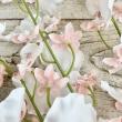 【造花】アスカ/オンシジューム×32 ホワイトピーチ/A-34794-4W
