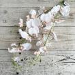 【造花】アスカ/オンシジューム×32 ホワイトピーチ/A-34794-4W