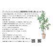 【人工観葉植物】アスカ/ポトス(ポット付) クリームグリーン/A-51093-53A
