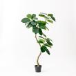 【直送】【人工観葉植物】アスカ/ゴムの木(ポット付) グリーン/A-51116-51A ※返品・代引・キャンセル不可