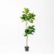 【直送】【人工観葉植物】アスカ/ゴムの木(ポット付) グリーン/A-51117-51A ※返品・代引・キャンセル不可