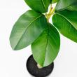 【直送】【人工観葉植物】アスカ/ゴムの木(ポット付) グリーン/A-51117-51A ※返品・代引・キャンセル不可