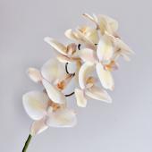 即日☆【造花】アスカ/コチョウラン×8 つぼみ×2 ピンクイエロー/A