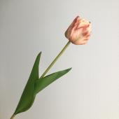 ちゅうりっぷ 造花】アスカ/チューリップ パープル/A-34927-7 - 花材通販はなどんや