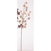 Hoolum（デッドストック）　赤西ミサンガ Hoolum（デッドストック） 赤西ミサンガ Hoolum（デッドストック