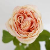 造花】アスカ/premium collection イングリッシュローズ ピーチ