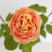 造花】アスカ/premium collection イングリッシュローズ ピーチ
