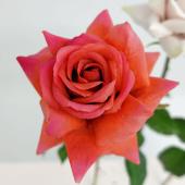 造花】アスカ/premium collection ローズ ローズゴールド/AP03004-5G