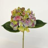 【造花】アスカ/premium collection ハイドランジア グリーンピンク/AP03010-51P