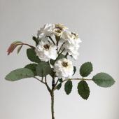 【造花】アスカ/ポンポンローズ×8 クリームホワイト/A-35138-11