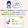 【造花】アスカ/ポンポンローズ×8 ソフトイエロー/A-35138-20
