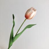 ちゅうりっぷ 造花】アスカ/チューリップ ホワイトレッド/A-35133-1R - 花材通販は