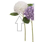造花】アスカ/ハイドランジア ホワイト/A-35182-1 - 花材通販は