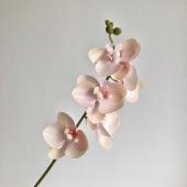 即日★【造花】アスカ/ミディコチョウラン×5 つぼみ×4 ピーチ/A-35168-4